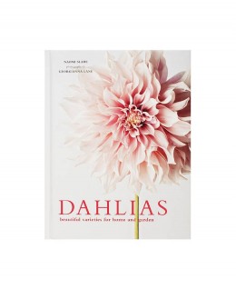 Album Dahlias